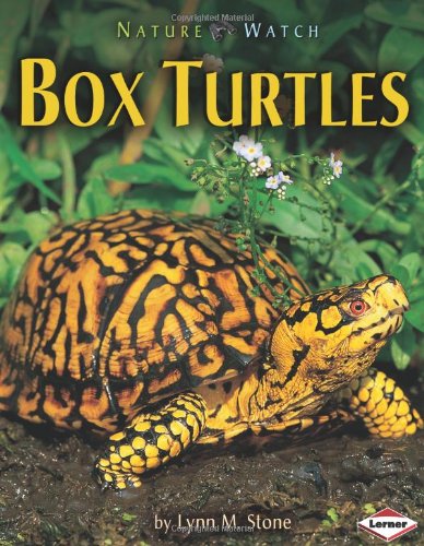 Box Turtles