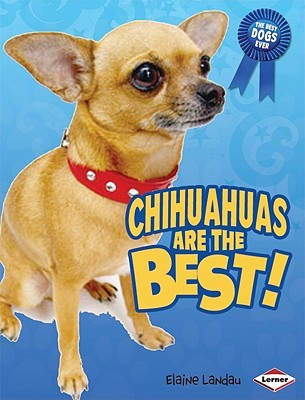 Chihuahuas Are the Best!