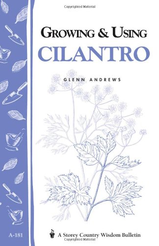 Growing  Using Cilantro