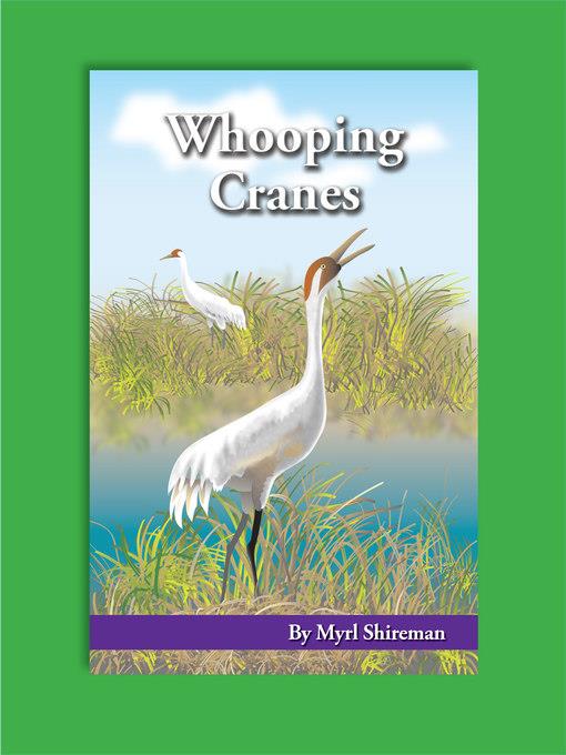 Whooping Cranes