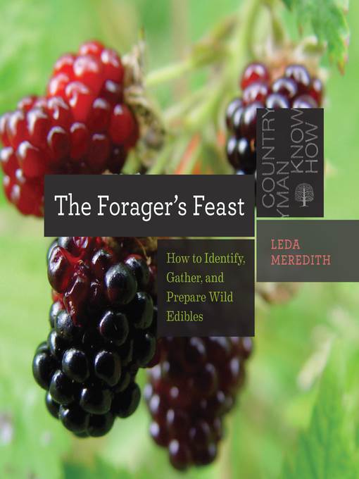 The Forager's Feast