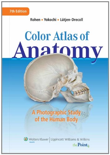 Color Atlas of Anatomy