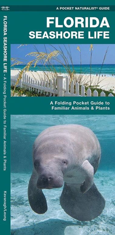 Florida Seashore Life: A Folding Pocket Guide to Familiar Animals and Plants (Wildlife and Nature Identification)