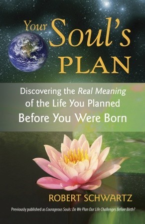 Your Soul's Plan