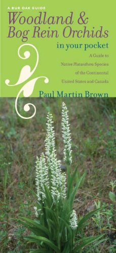 Woodland and Bog Rein Orchids in Your Pocket