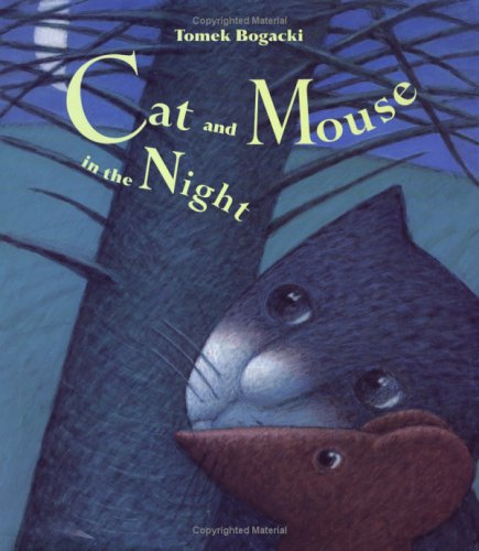 Cat and Mouse in the Night