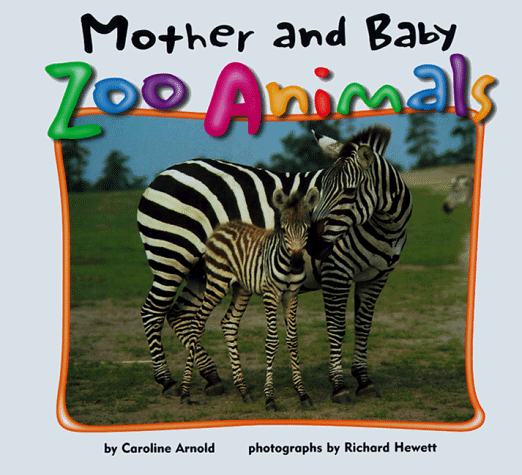 Mother and Baby Zoo Animals