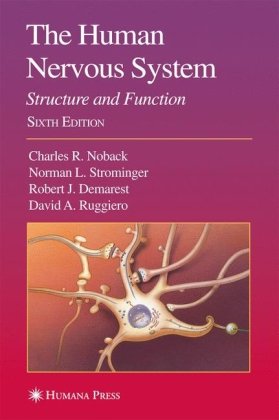 The Human Nervous System