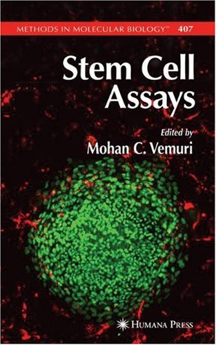 Stem Cell Assays