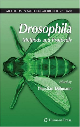 Drosophila