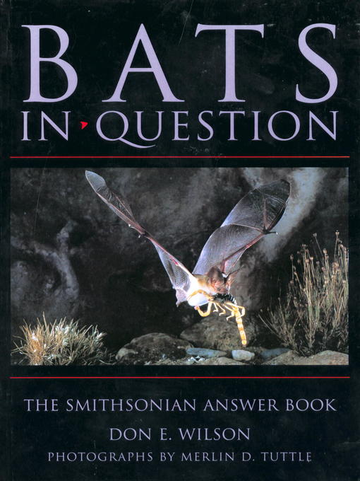 Bats in Question