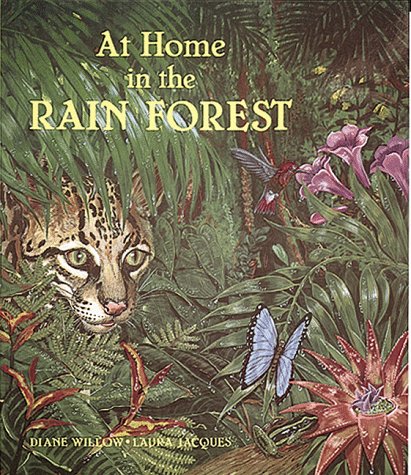 At home in the rain forest