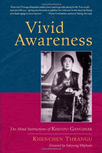 Vivid Awareness