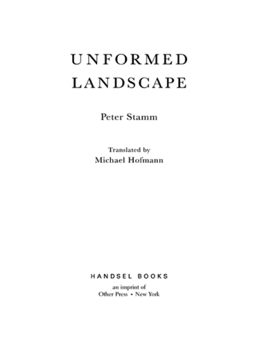 Unformed Landscape