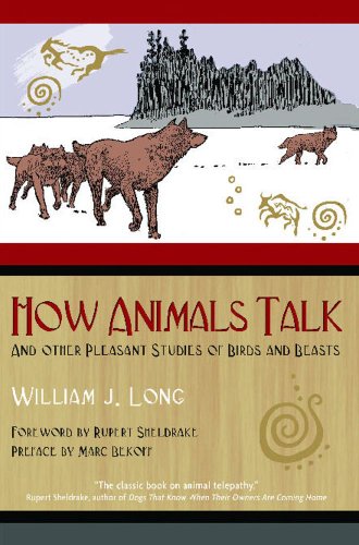 How Animals Talk