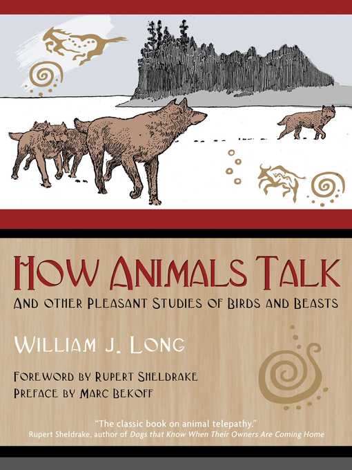 How Animals Talk