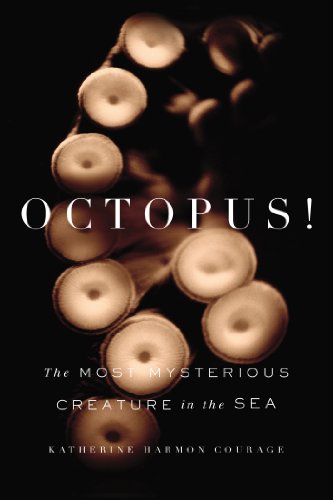 Octopus!