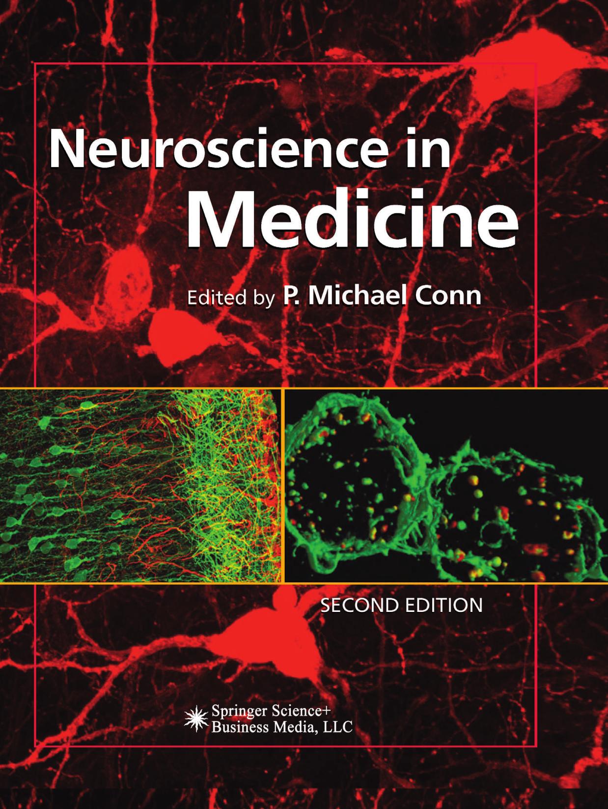 Neuroscience in Medicine