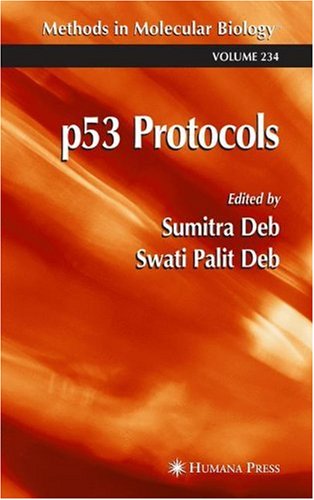 P53 protocols