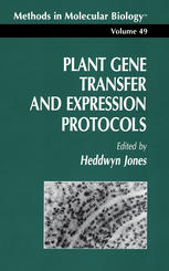 Plant gene transfer and expression protocols