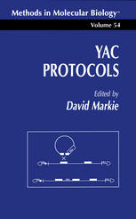 YAC protocols