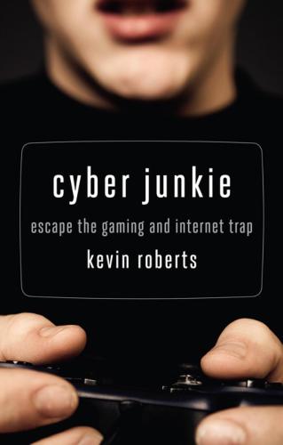 Cyber Junkie