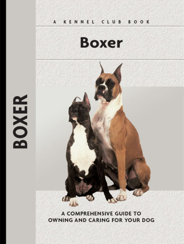 Boxer