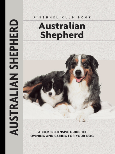 Australian Shepherd