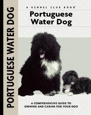 Portuguese Water Dog