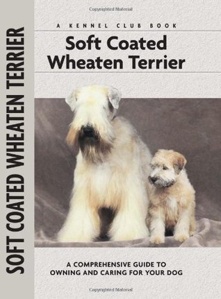 Soft Coat Wheaten Terrier