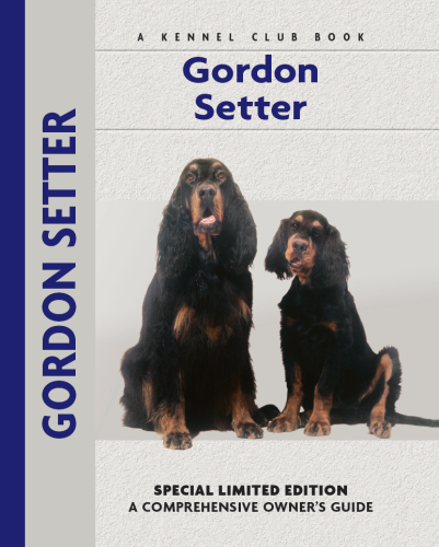 Gordon Setter