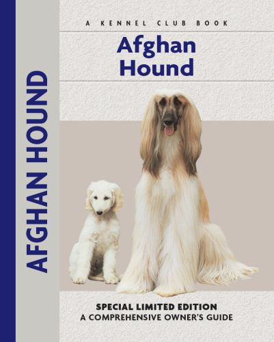 Afghan Hound