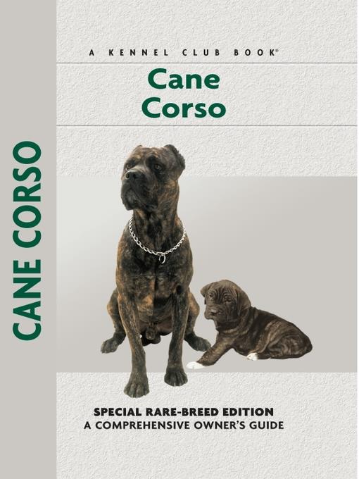 Cane Corso