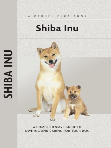 Shiba Inu