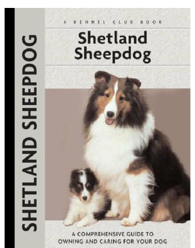 Shetland Sheepdog