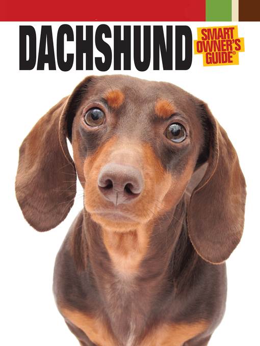 Dachshund