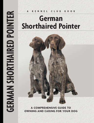 German Shorthaired Pointer