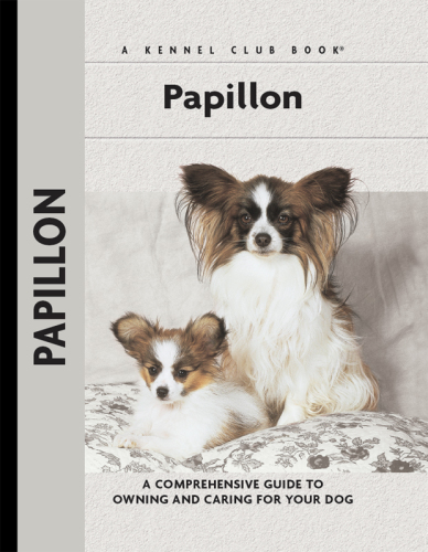 Papillons