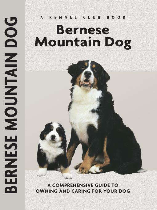 Bernese Mountain Dog