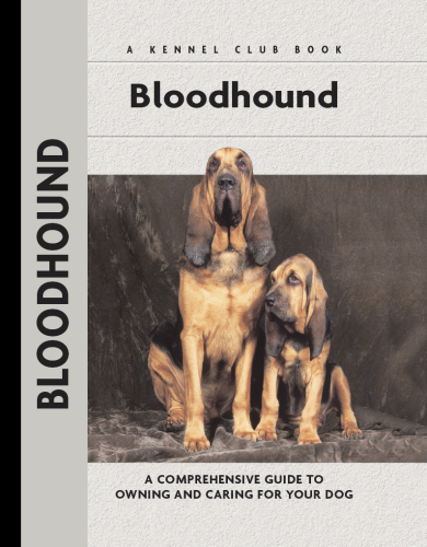 Bloodhound