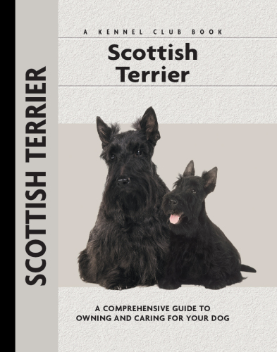 Scottish Terrier