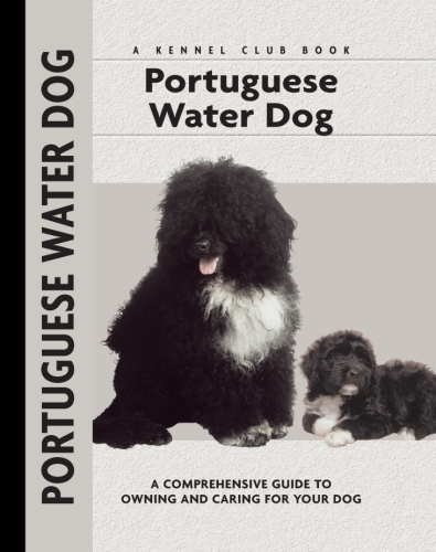 Portuguese Water Dog