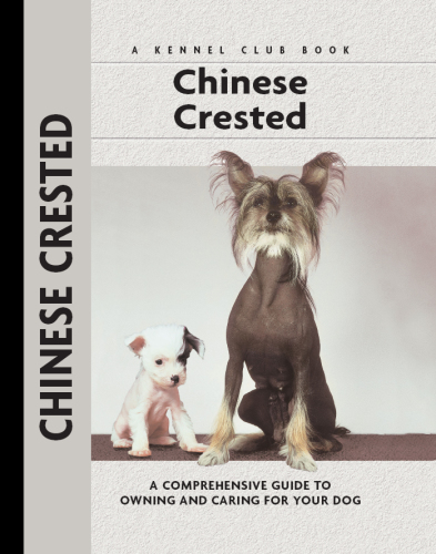 Chinese Crested