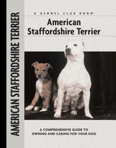 American Staffordshire Terrier