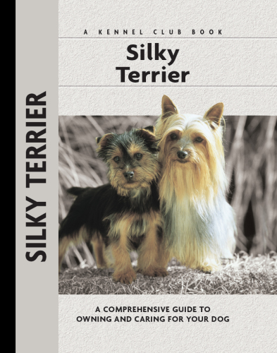 Silky Terrier