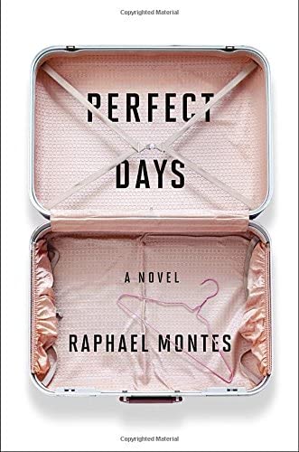 Perfect Days: A Novel