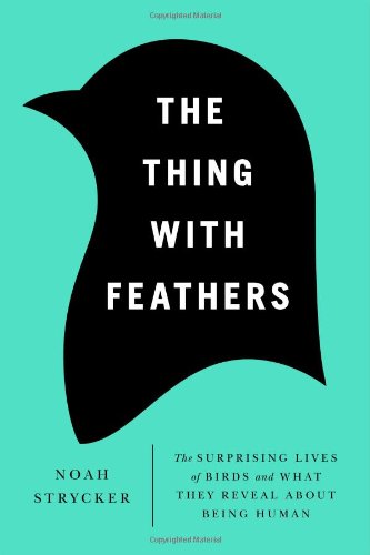 The Thing with Feathers