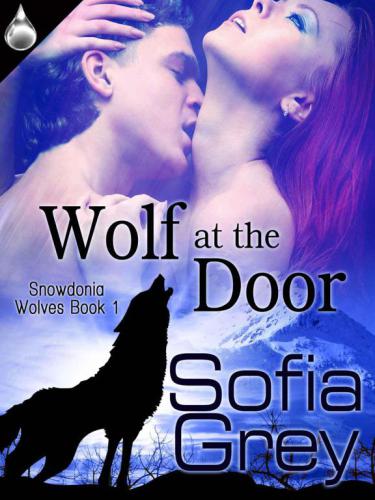 Wolf at the Door