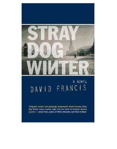 Stray Dog Winter: A Novel