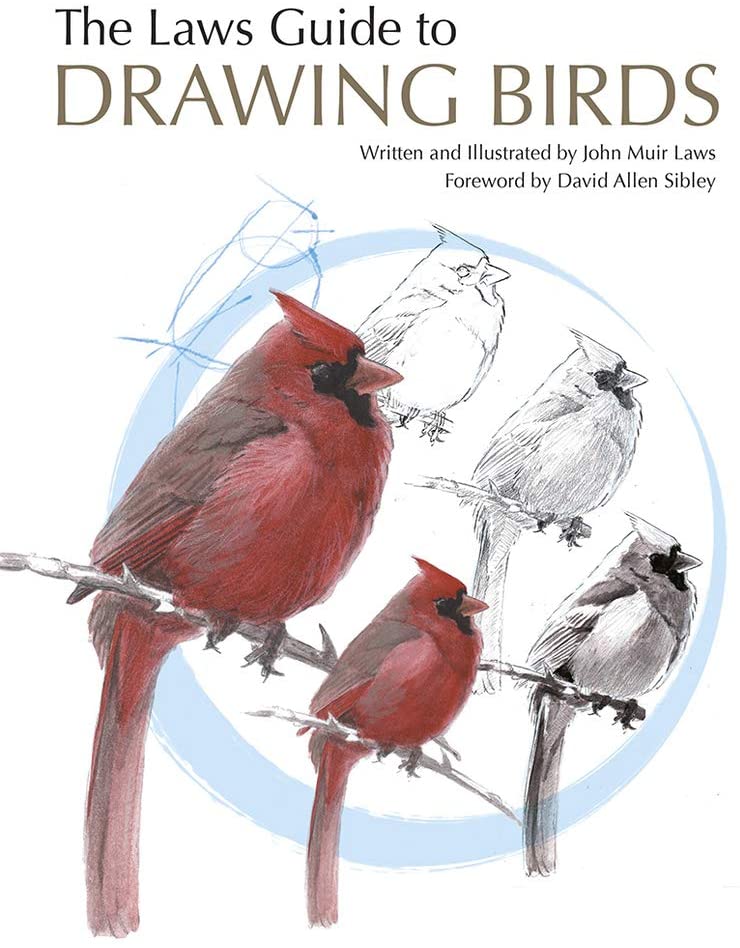 The Laws Guide to Drawing Birds